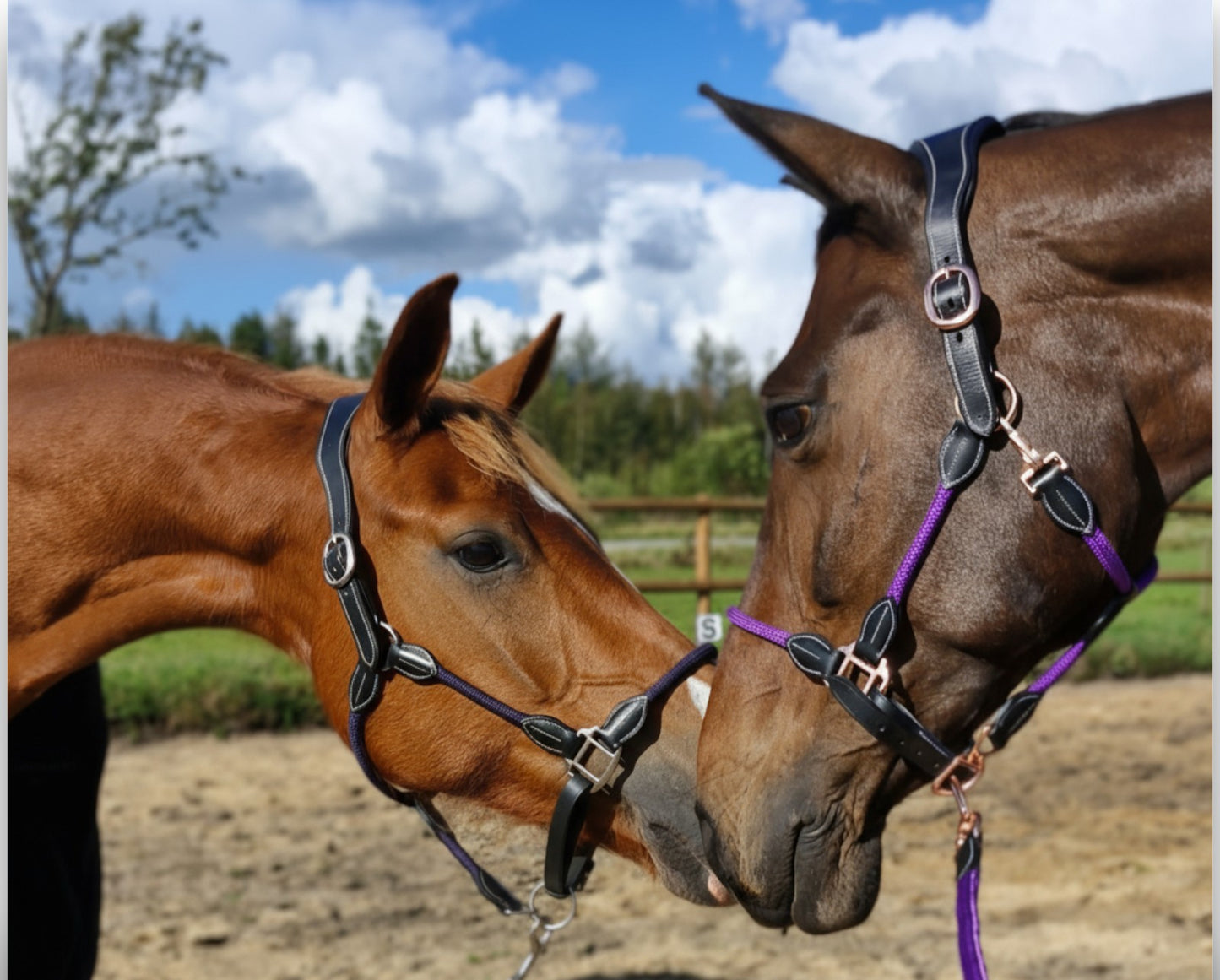 By Hyldgaard "Harmoni" grime