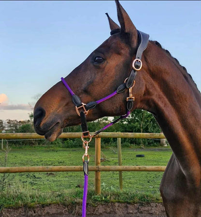 By Hyldgaard  "Harmoni" grime