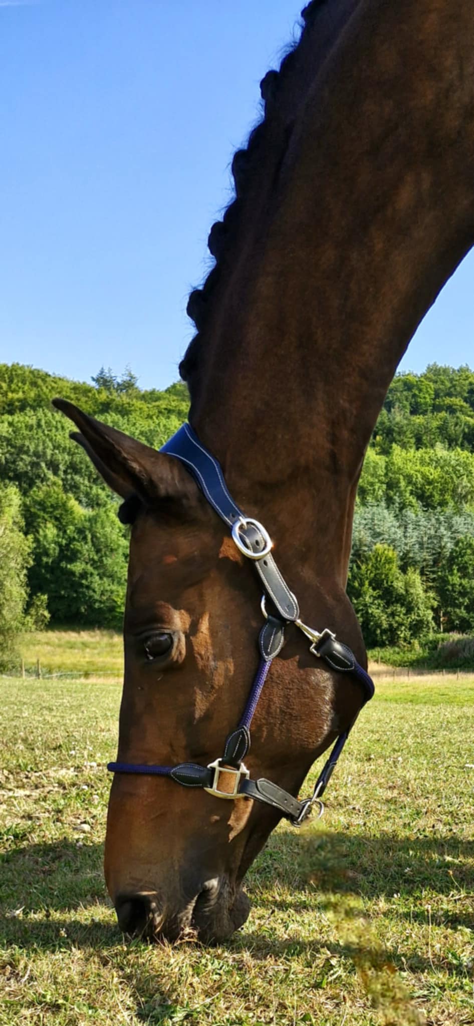 By Hyldgaard  "Harmoni" grime