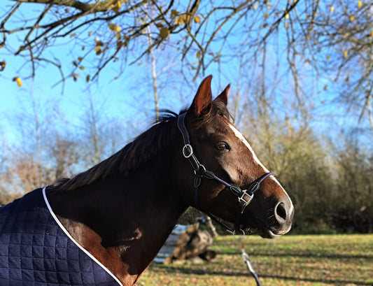 By Hyldgaard  "Harmoni" grime